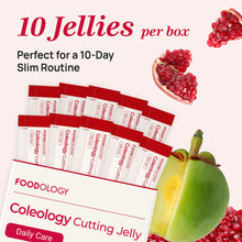 Load image into Gallery viewer, FOODOLOGY Cutting Jelly [10 sticks of 25g]
